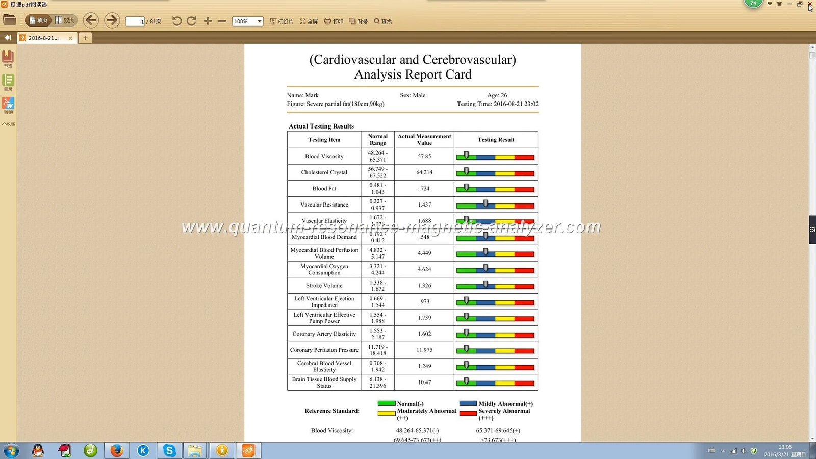 quantum scanner health analysis report display